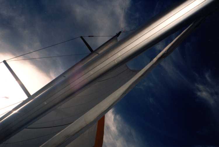 mast.JPG (19785 Byte)